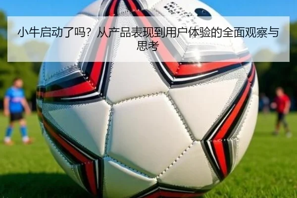 小牛启动了吗？从产品表现到用户体验的全面观察与思考